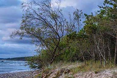 欧易交易所-选项一（侧重安全与官方）欧易(OKX)交易所官方应用下载完全指南，安全、便捷，一步到位